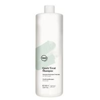 360 HAIR PROFESSIONAL        Quick Treat Shampoo, 1000 