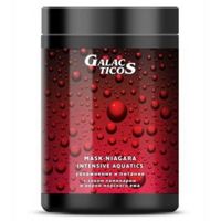 Nexxt GALACTICOS Маска для сухих и нормальных волос-увлажнение и питание, 1000 мл
